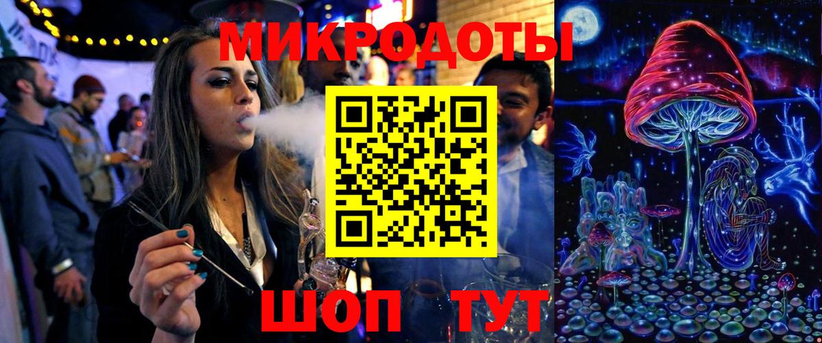 Галлюциногенные грибы Psilocybe Великие Луки