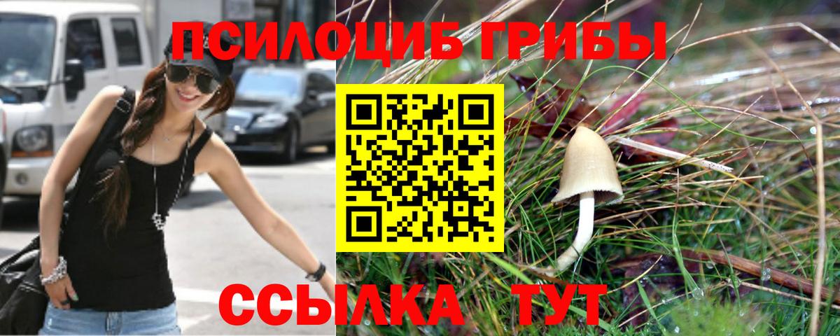 хочу наркоту  Вход с VPN  Великие Луки  Псилоцибиновые грибы ЛСД 